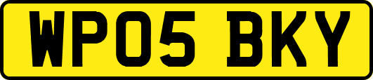 WP05BKY