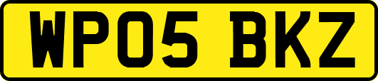 WP05BKZ