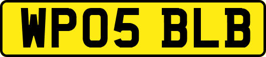 WP05BLB
