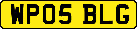 WP05BLG