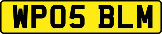 WP05BLM