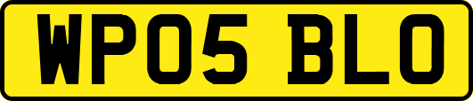 WP05BLO