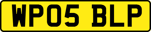 WP05BLP