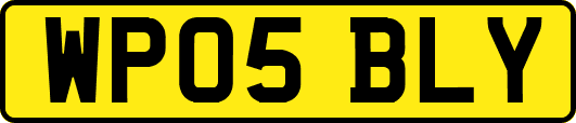 WP05BLY