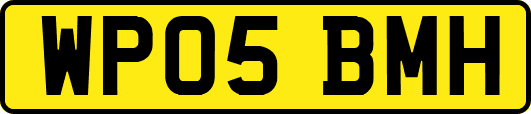 WP05BMH