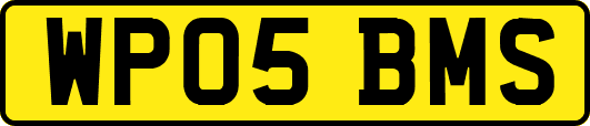 WP05BMS