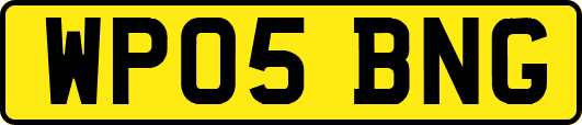 WP05BNG