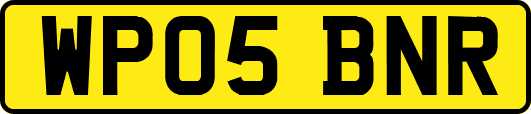 WP05BNR