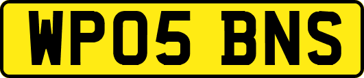 WP05BNS