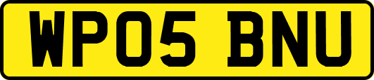WP05BNU