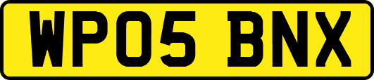 WP05BNX