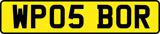 WP05BOR