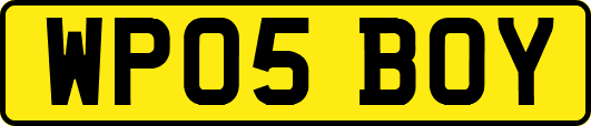 WP05BOY
