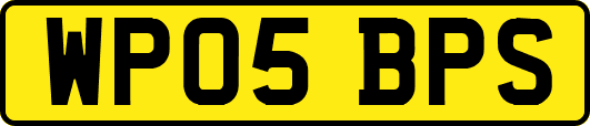 WP05BPS