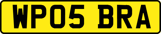 WP05BRA