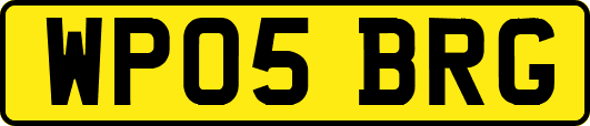 WP05BRG
