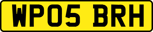WP05BRH