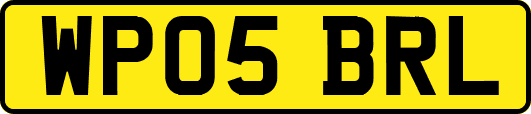 WP05BRL