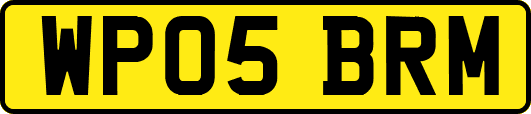 WP05BRM