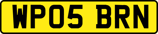 WP05BRN