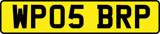 WP05BRP