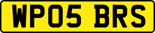 WP05BRS