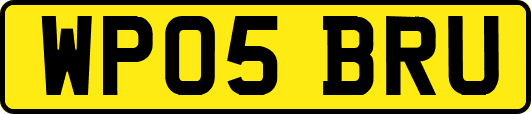 WP05BRU