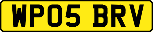 WP05BRV