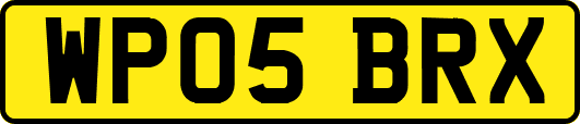 WP05BRX