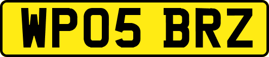 WP05BRZ