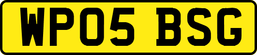 WP05BSG