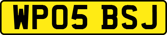 WP05BSJ