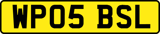 WP05BSL