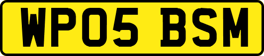 WP05BSM