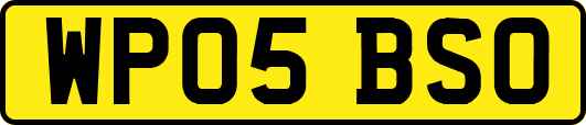 WP05BSO