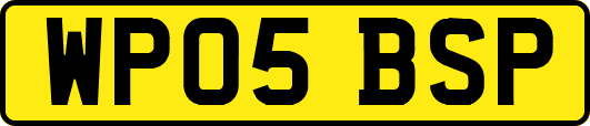WP05BSP