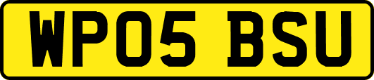 WP05BSU