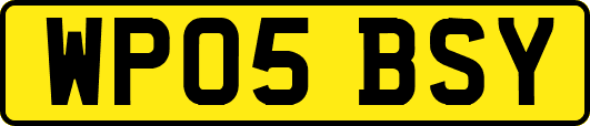 WP05BSY