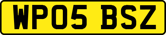 WP05BSZ