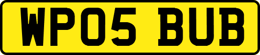 WP05BUB