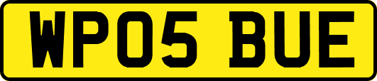 WP05BUE