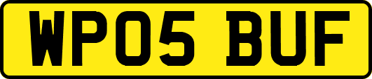 WP05BUF