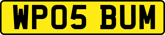 WP05BUM