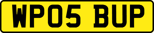 WP05BUP