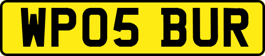 WP05BUR