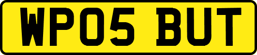 WP05BUT