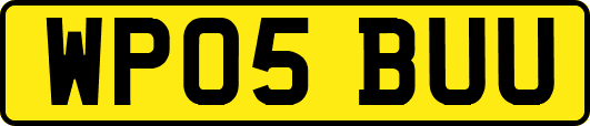 WP05BUU