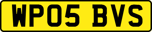 WP05BVS