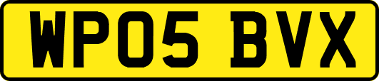 WP05BVX