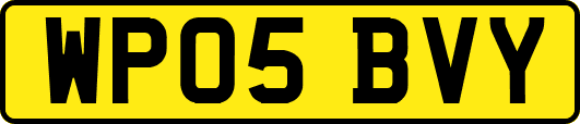 WP05BVY